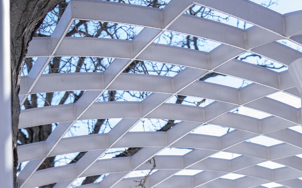 Alabama National Guard supports D.C. Safe and Beautiful mission