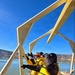 Eagle surveys held at six USACE-Albuquerque District lakes in January