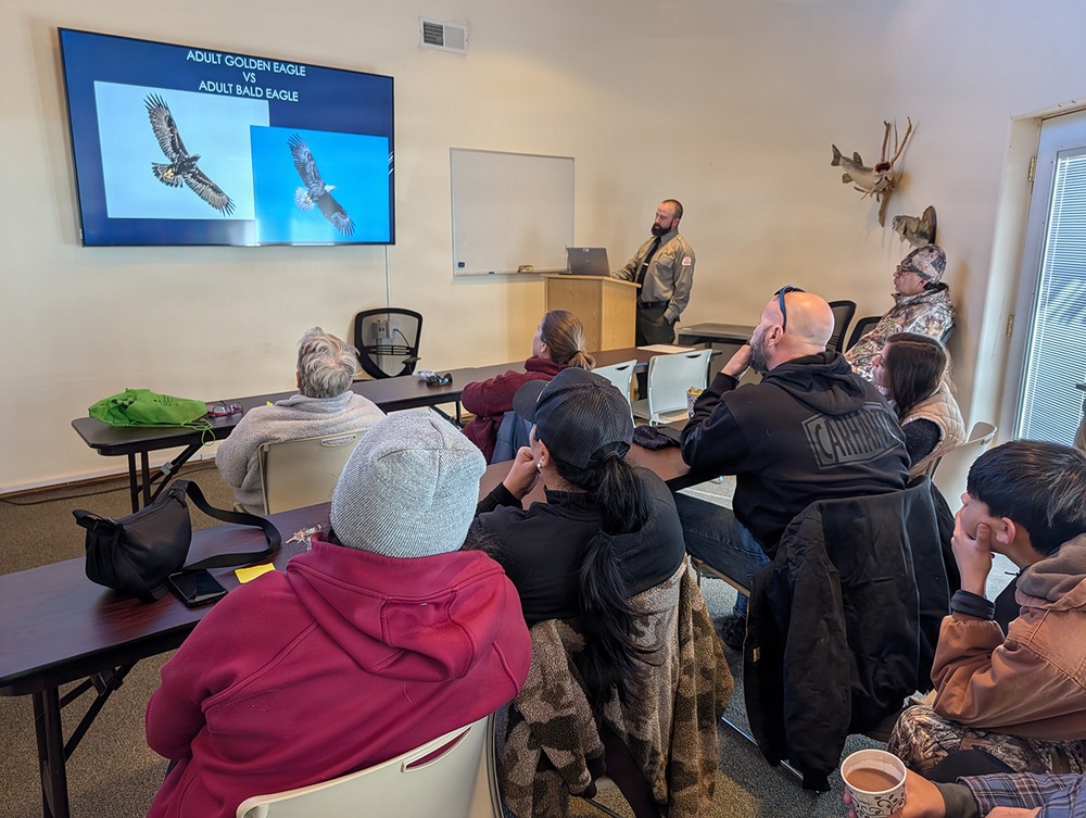 Eagle surveys held at six USACE-Albuquerque District lakes in January