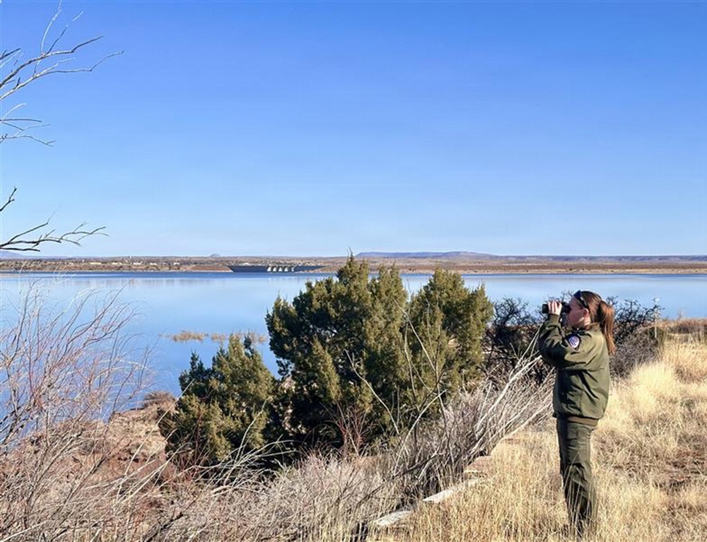 Eagle surveys held at six USACE-Albuquerque District lakes in January