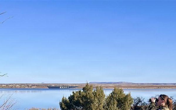 Eagle surveys held at six USACE-Albuquerque District lakes in January