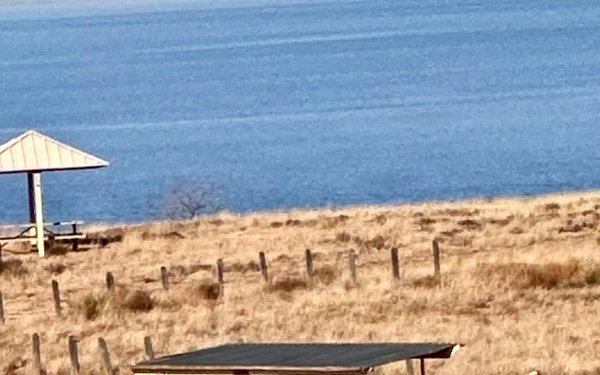 Eagle surveys held at six USACE-Albuquerque District lakes in January