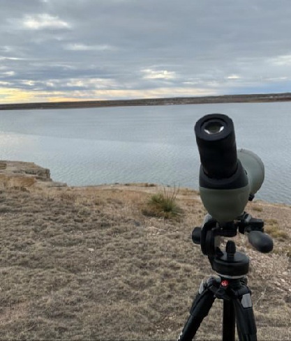 Eagle surveys held at six USACE-Albuquerque District lakes in January
