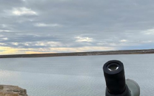 Eagle surveys held at six USACE-Albuquerque District lakes in January