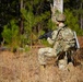 U.S. Army Soldier holds security at medical evacuation site