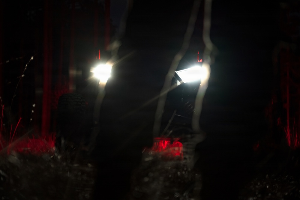 Panther Avalanche - ULTRA