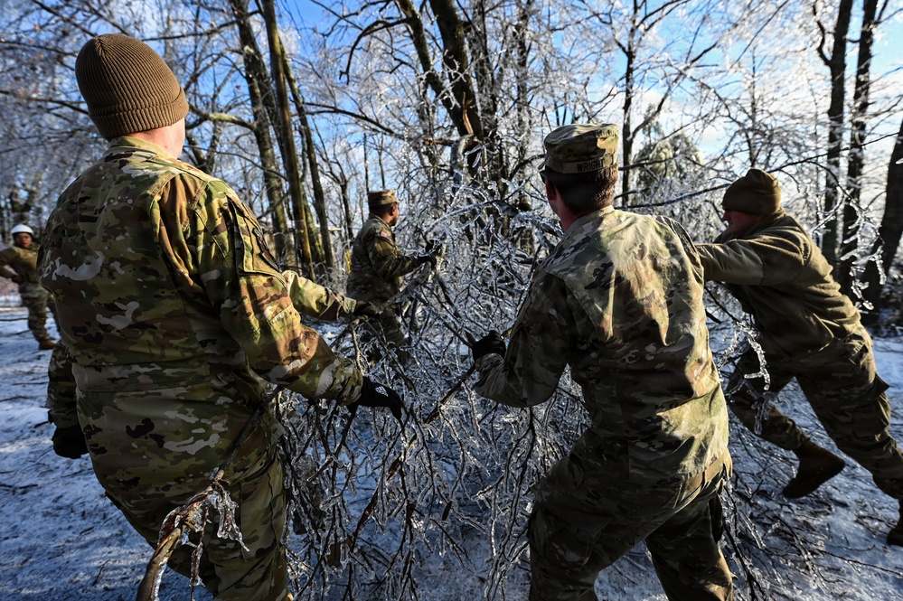 Coordinated tree removal