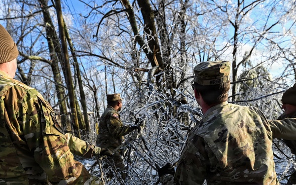 Coordinated tree removal