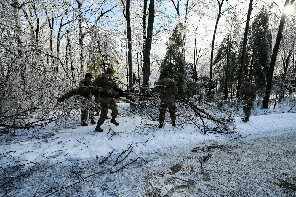 Removing trees from the road