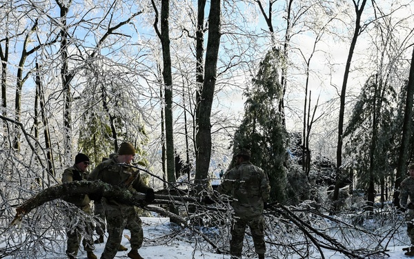 Removing trees from the road