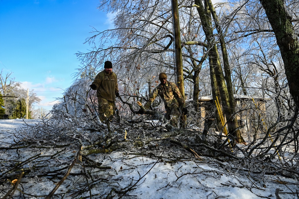 Air Force and Army tree removal