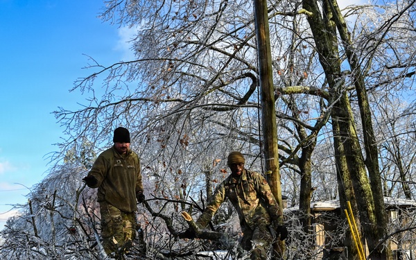 Air Force and Army tree removal