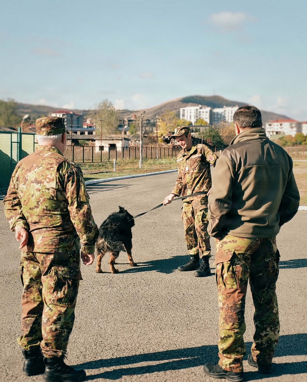 Border Dogs on the Frontline: U.S. and Georgian Partners Monitor "Superbug" Threats