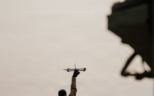 Panther Avalanche (Drones)