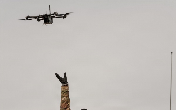 Panther Avalanche (Drones)