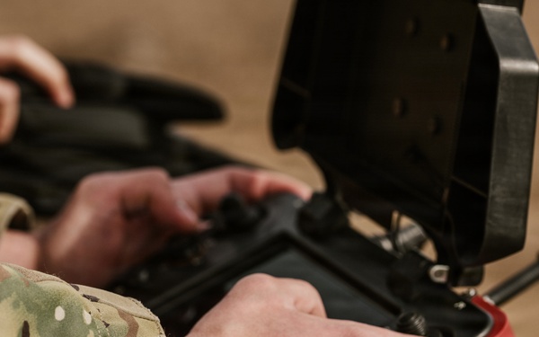 Panther Avalanche (Drones)