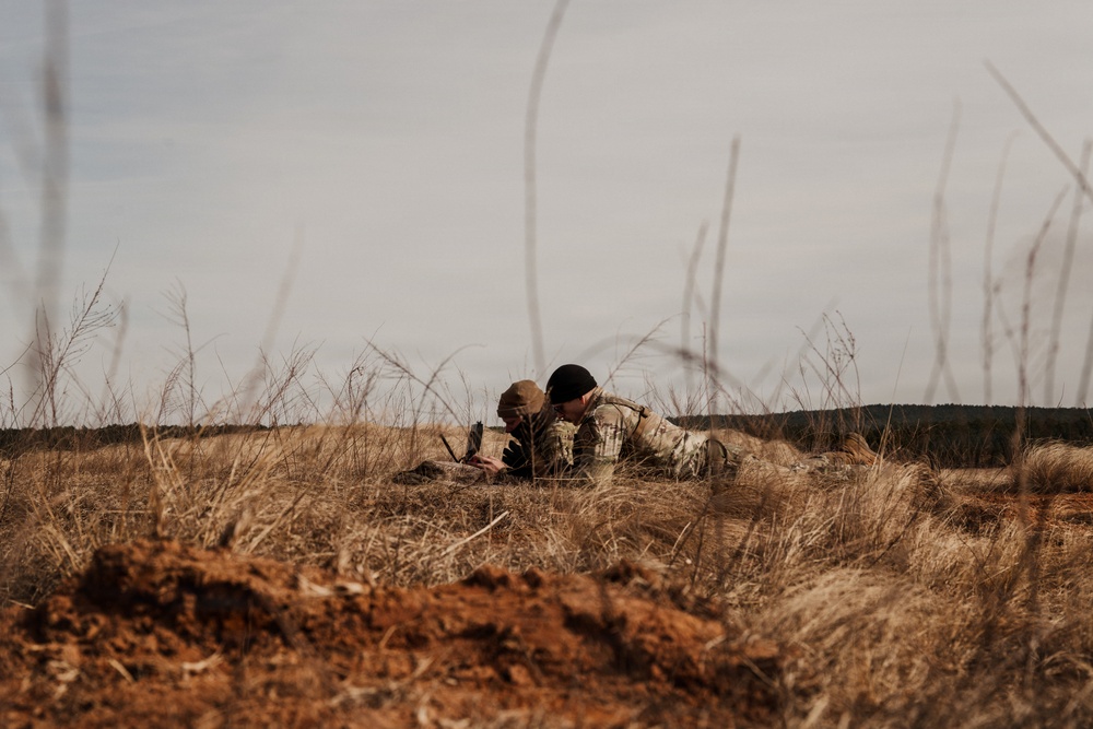 Panther Avalanche (Drones)