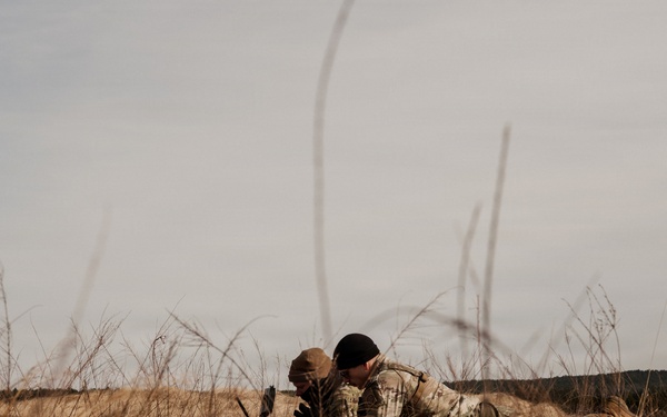 Panther Avalanche (Drones)