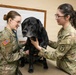 DAFB Veterinary Treatment Facility ensuring mission readiness