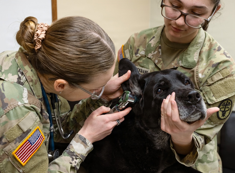 DAFB Veterinary Treatment Facility ensuring mission readiness