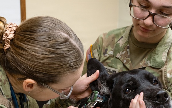 DAFB Veterinary Treatment Facility ensuring mission readiness