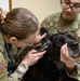DAFB Veterinary Treatment Facility ensuring mission readiness