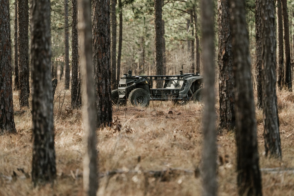 Panther Avalanche (Overland AI)