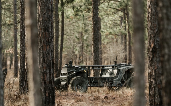 Panther Avalanche (Overland AI)