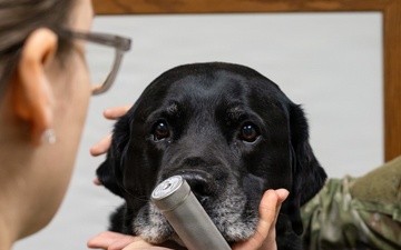 DAFB Veterinary Treatment Facility ensuring mission readiness Creator: SrA Trenten Walters