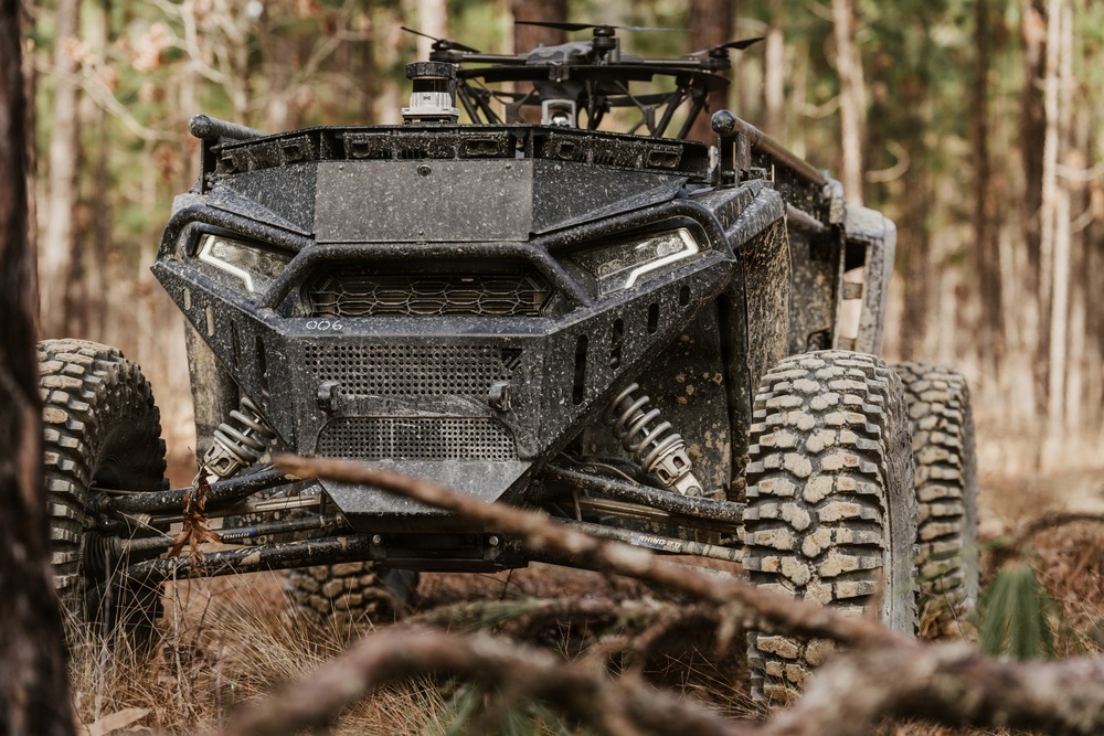 Panther Avalanche (Overland AI)