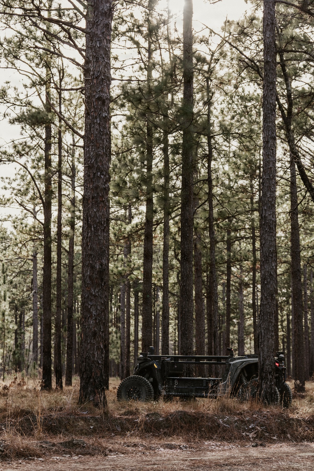 Panther Avalanche (Overland AI)