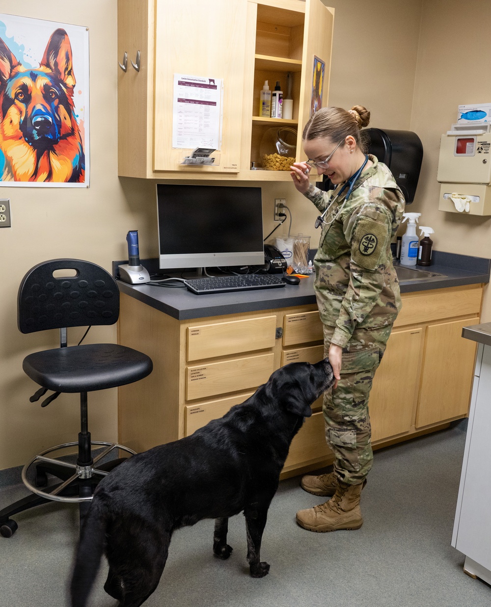 DAFB Veterinary Treatment Facility ensuring mission readiness
