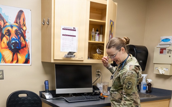 DAFB Veterinary Treatment Facility ensuring mission readiness