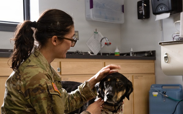 DAFB Veterinary Treatment Facility ensuring mission readiness