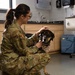 DAFB Veterinary Treatment Facility ensuring mission readiness