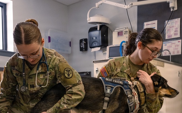 DAFB Veterinary Treatment Facility ensuring mission readiness