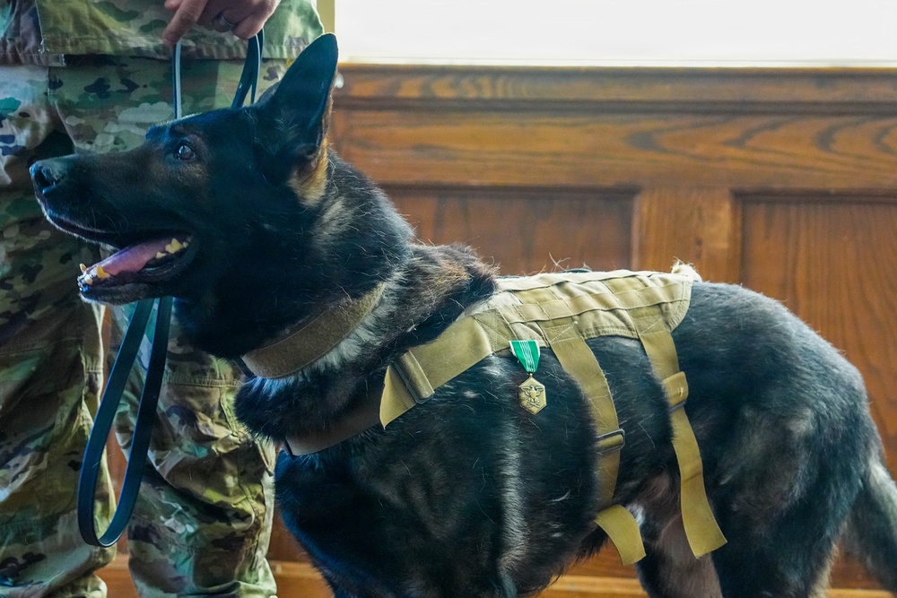 Retirement Ceremony for MWD Nick