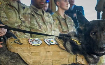 Retirement Ceremony for MWD Nick