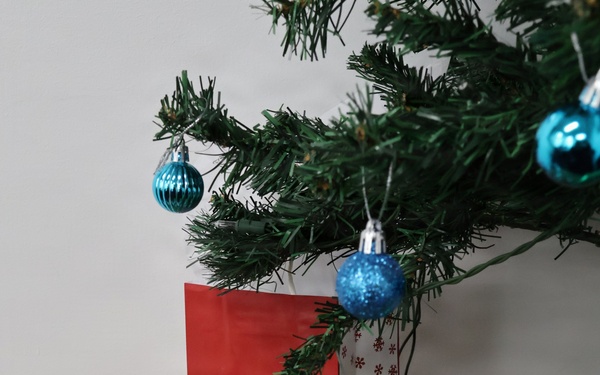 SFL/RSO/Army PaYS Holiday Party and Farewell Event Arlington, VA December 2025