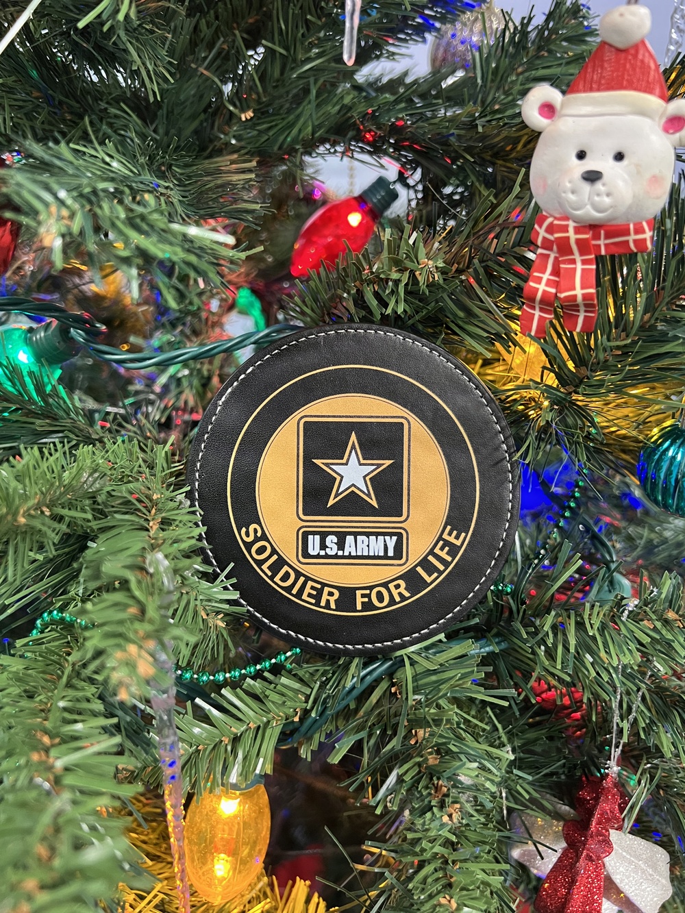 SFL/RSO/Army PaYS Holiday Party and Farewell Event Arlington, VA December 2025