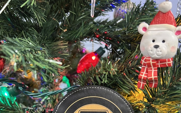 SFL/RSO/Army PaYS Holiday Party and Farewell Event Arlington, VA December 2025