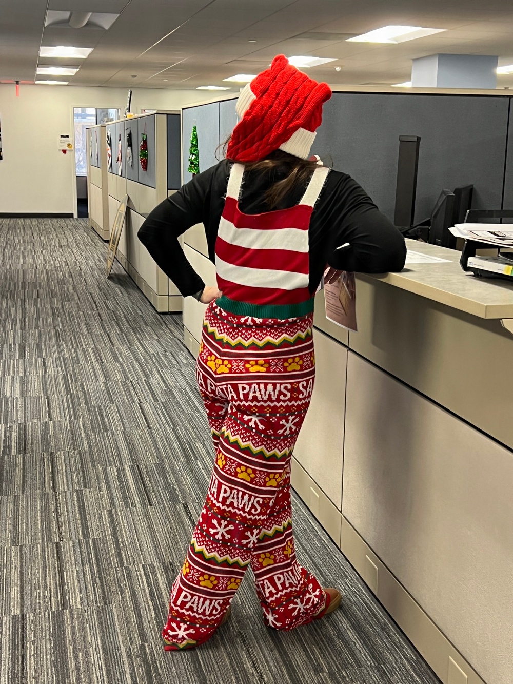 SFL/RSO/Army PaYS Holiday Party and Farewell Event Arlington, VA December 2025