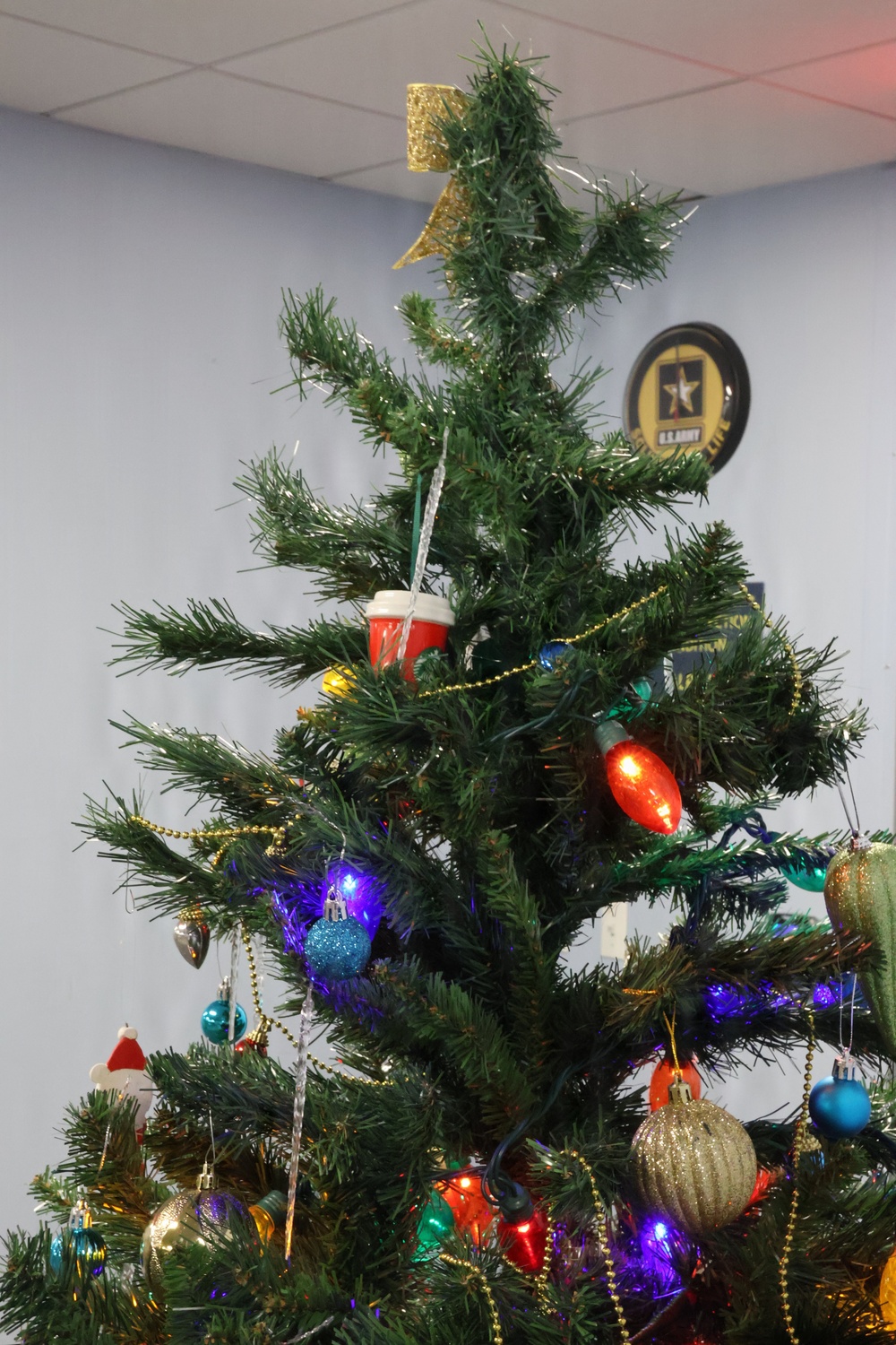 SFL/RSO/Army PaYS Holiday Party and Farewell Event Arlington, VA December 2025