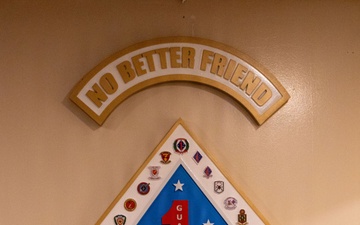 1st Marine Division unveils Blue Diamond Plaque at Pub 1795