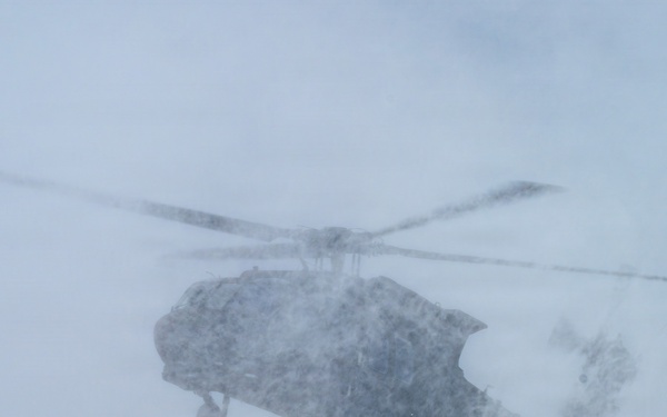 Northern Strike 26-1 UH-60 Black Hawk Snow Landing