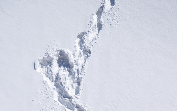 Northern Strike 26-1 Public Affairs Training