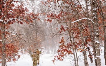 Northern Strike 26-1 Metadata Template - 182nd Airlift Wing