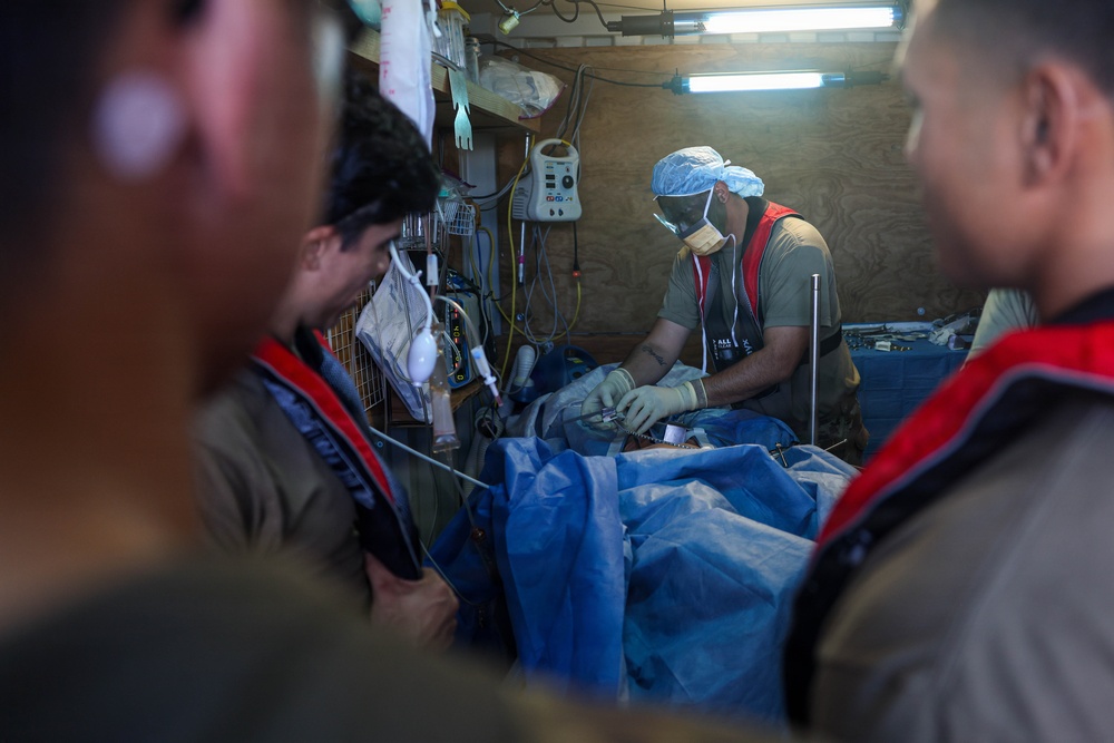 Army Medics Train Maritime Casualty Evacuation Off Coast of Hawaii