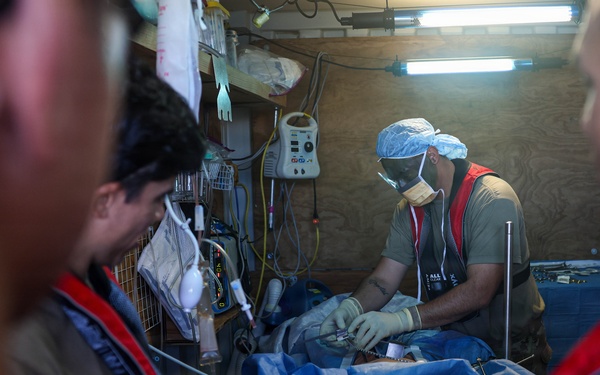 Army Medics Train Maritime Casualty Evacuation Off Coast of Hawaii