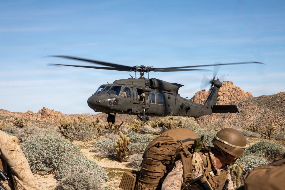 Combat Logistics Battalion 2 supports JTF-SB